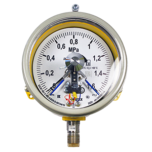 ДМ2005фСг1Exd-Кс-(0-60...600)МПа-кл.т.1,5-d.160-IP54-М20х1,5-РШ-У1 манометр электроконтактный взрывозащищенный коррозионностойкий, Изображение №1