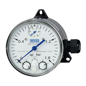 DPGS40.100-(0-1000)мбар/25бар-снизу-2хG1/4внутр-FPM/FKM-850.3-кл.т.2,5 манометр дифференциального давления DELTA-comb с микропереключателем, Изображение №1