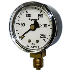 ДМ2029-У2-(0-100..250)кгс/см2-кл.т.2,5 манометр показывающий, Изображение №1