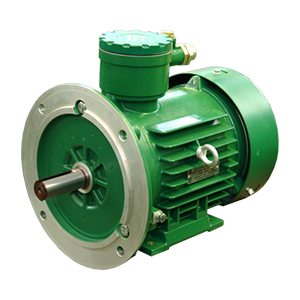 АИМЛ-112M4-IM3081-У2.5 электродвигатель асинхронный взрывозащищенный 5,5 кВт, 1500 об/мин, 380 В, Изображение №1