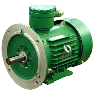 АИМЛ-112M4-IM2081-У2.5 электродвигатель асинхронный взрывозащищенный 5,5 кВт, 1500 об/мин, 380 В, Изображение №1