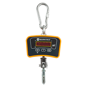 ВКМ-III-500-Д-360 весы крановые, Изображение №1