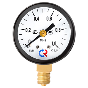 ТМ-110Р.00-(0...0,1-10)МПа-кл.т.2,5 манометр, Изображение №1
