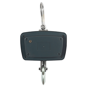 ВКМ-IV-1000-Д-360 весы крановые, Изображение №2