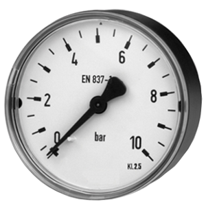 111.12.100-(0-10)бар-сзади-G1/4B-кл.т.2,5-сталь манометр с трубкой Бурдона, Изображение №1