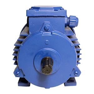 АИР-100L8-IM3041-220/380В-У2 электродвигатель асинхронный 1,5 кВт, 750 об/мин, Изображение №3