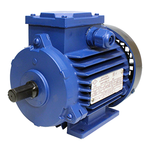 АИР-100L8-IM3041-220/380В-У2 электродвигатель асинхронный 1,5 кВт, 750 об/мин, Изображение №2