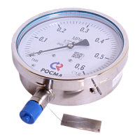 ТМ-621Р.00-(0...0,1-10)МПа-кл.т.1,0-шильд манометр коррозионностойкий с шильдом и свинцовой пломбой