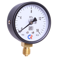 ТМ-310Р.00-(0...16-60)МПа-кл.т.1,5 манометр с повышенным классом точности