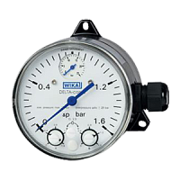 DPGS40.100-(0-1000)мбар/25бар-снизу-2хG1/4внутр-FPM/FKM-850.3-кл.т.2,5 манометр дифференциального давления DELTA-comb с микропереключателем