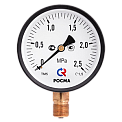 ТВ-110Р.00-(-0,1...0)МПа-M10x1,5-кл.т.2,5 вакуумметр технический