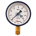 МП3-Уф-(0-0,1...10)МПа-кт.1,5-d.100-IP40-М20х1,5-РШ-У2 манометрДУБЛЬ