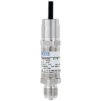 E-10-(0-0,4)бар-(4-20)мА/2пр.-DC(10-30)В-G1/2B-1/2NPTвнеш.-2м-0,5% датчик давления с взрывонепроницаемым корпусом