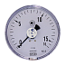 111.12.040-(0-16)бар-сзади-G1/8B-кл.т.2,5-сталь манометр с трубкой Бурдона, Изображение №1