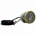 ЭНЕС-1 электрод сравнения неполяризующийся медносульфатный с кабелем МКЭШ 2,5 м