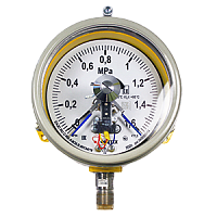 ДМ2005фСг1Exd-Кс-(0-0,6...60)МПа-кл.т.1,5-d.160-IP54-М20х1,5-РШ-У1 манометр электроконтактный взрывозащищенный коррозионностойкий