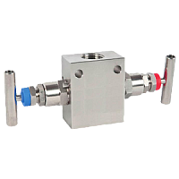 IV20-2-G1/2внутр-G1/2внутр-1/4"NPTвнутр.-нерж.ст.-PTFE блок двухвентильный