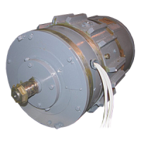 ДПТВ-16,25-О2 электродвигатель без крыльчатки 16,25 кВт, 3100 об/мин, 210 В